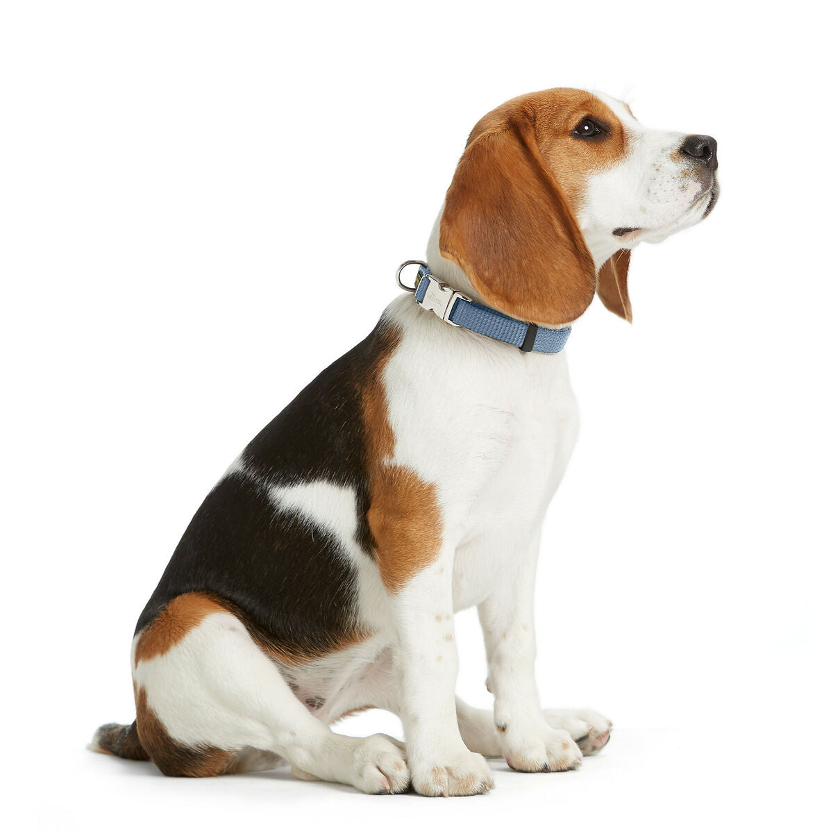 V5H7AAB4A0DA227D64B2223DCC3E9ABA6C1R5582612P2