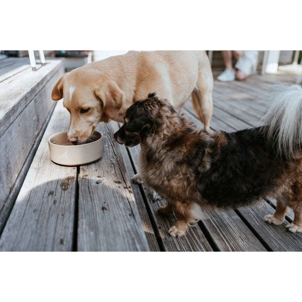 V6H2C3A3627120386C7EAE71238ADAD9D86R6455855P3