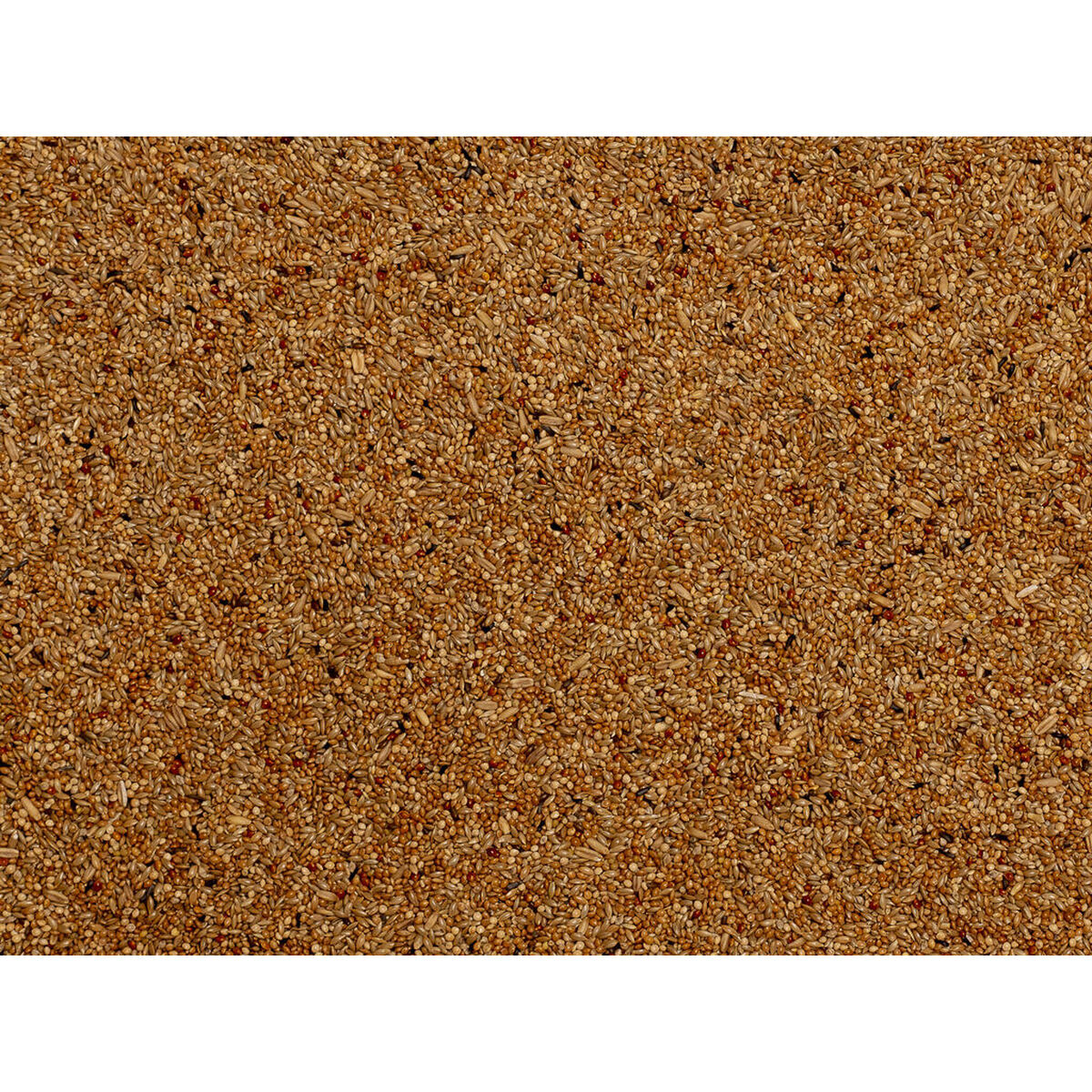 V7HD2DF7EC1488CF15A8BF9E8662FD65D41R7450093P3