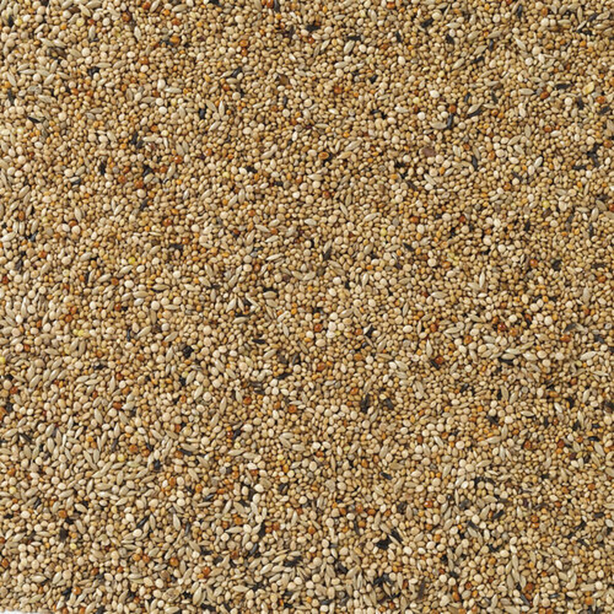 V8HB958BBB07FAB4345EB514D8A454E87A5R7450167P4