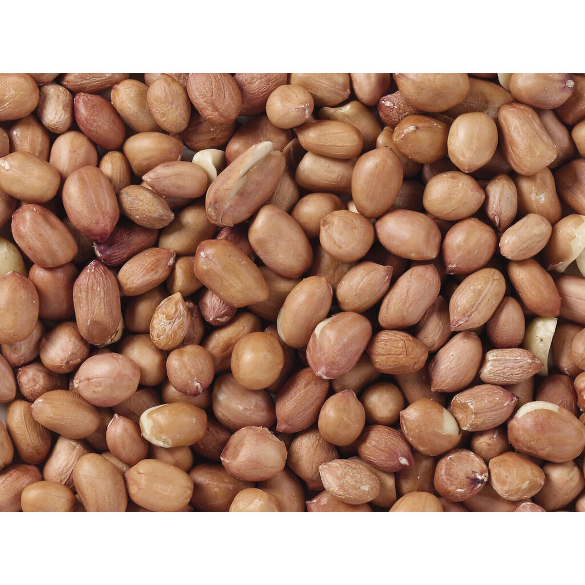 V6H1A37A2862DBBCCB9820CD8D06C0EF507R7449972P3