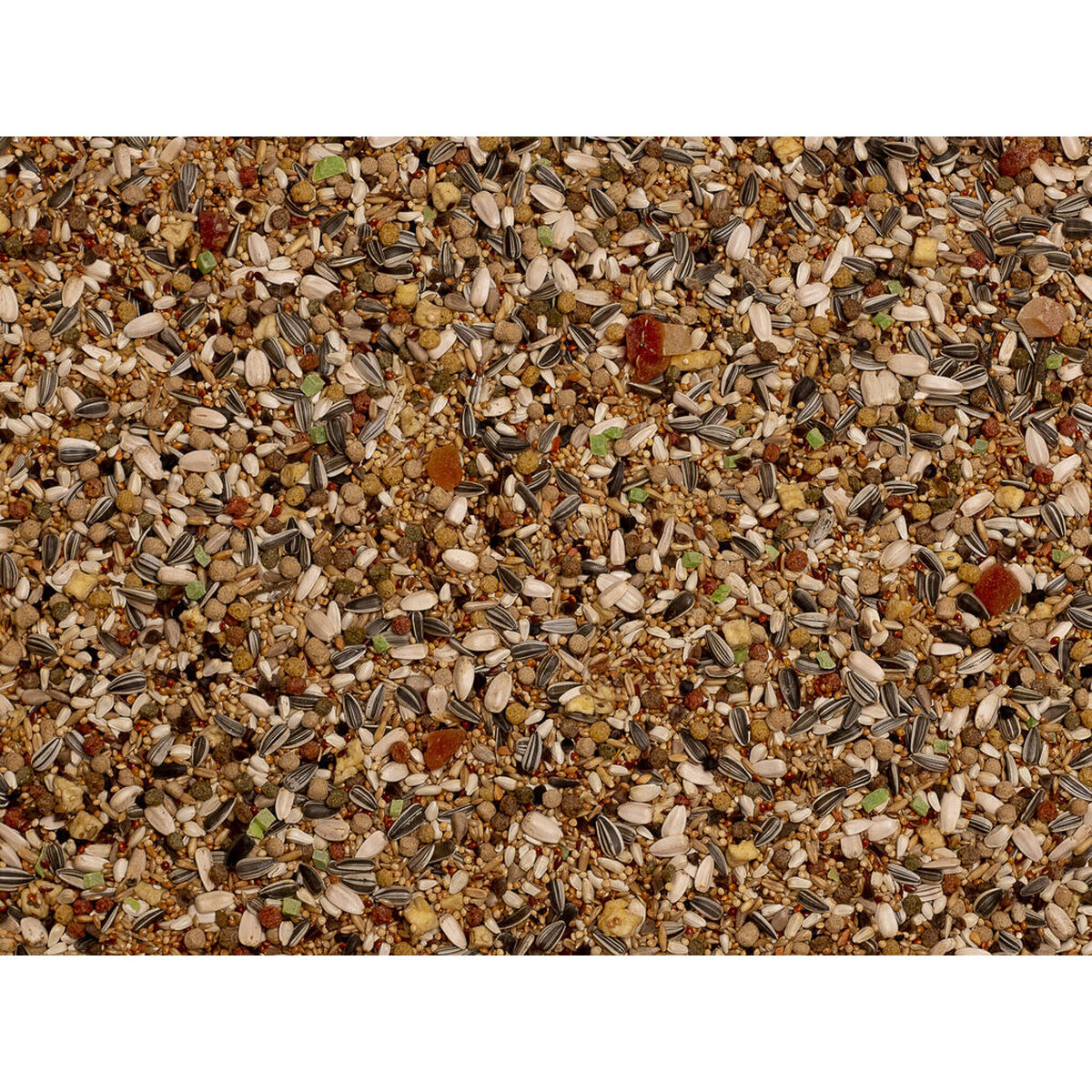 V8HEB4AB524B658A3634CA3C08158E4AEA8R7450586P3