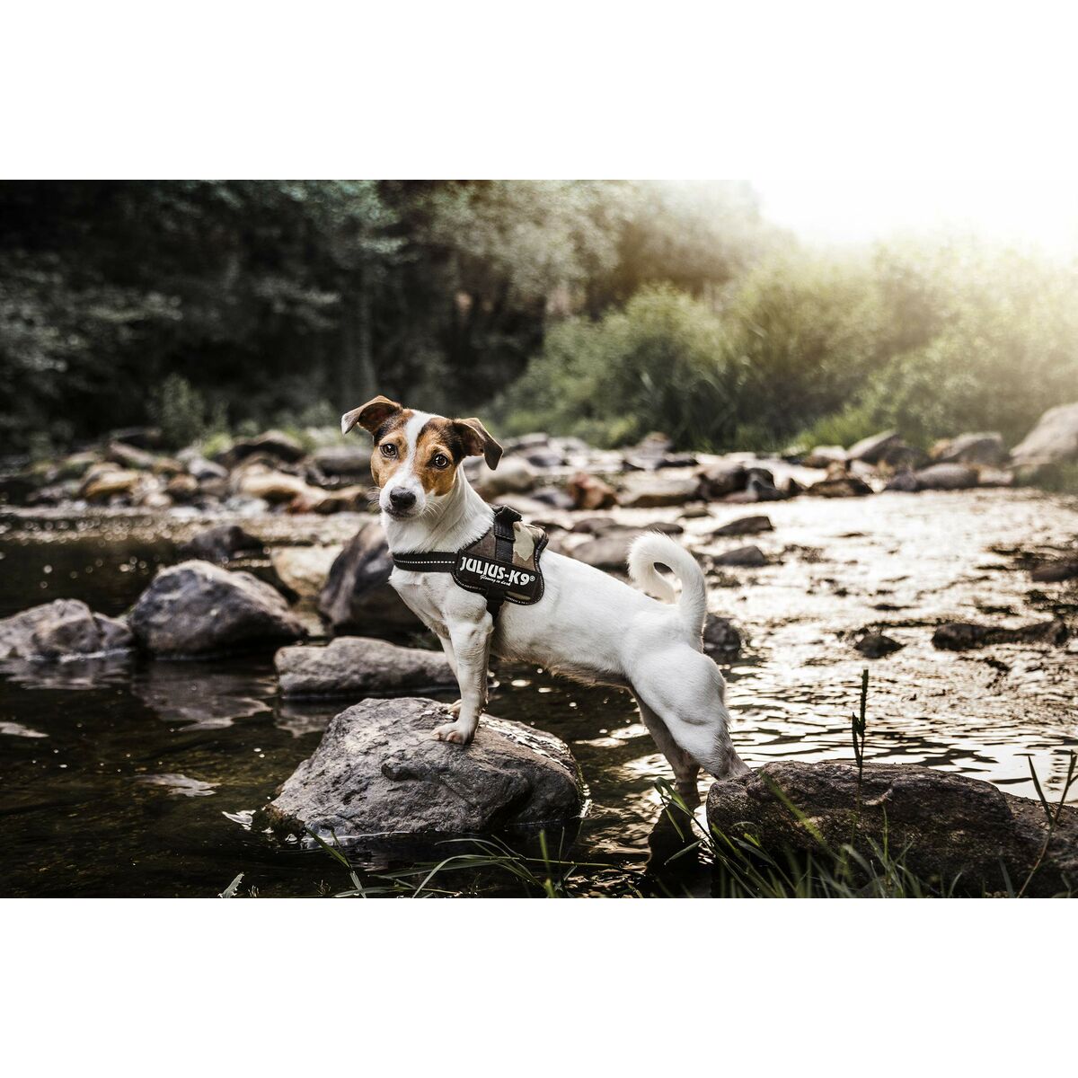 V7H375E0D228A376AECF9E38761A2306C81R7451371P8