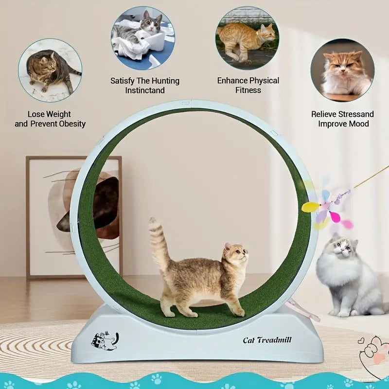 Pet Fitness Wheel - Tapis roulant interactif pour chiens et chats gris-3
