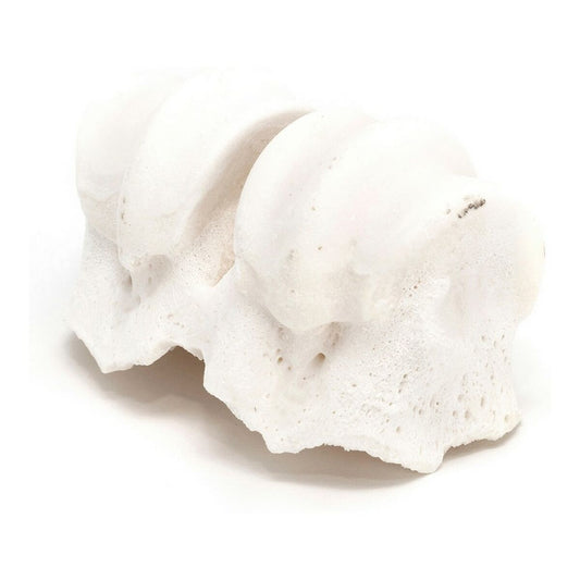 V11HED0B4C38EE8532FA23B93A47B1DCA0BER3891368P2