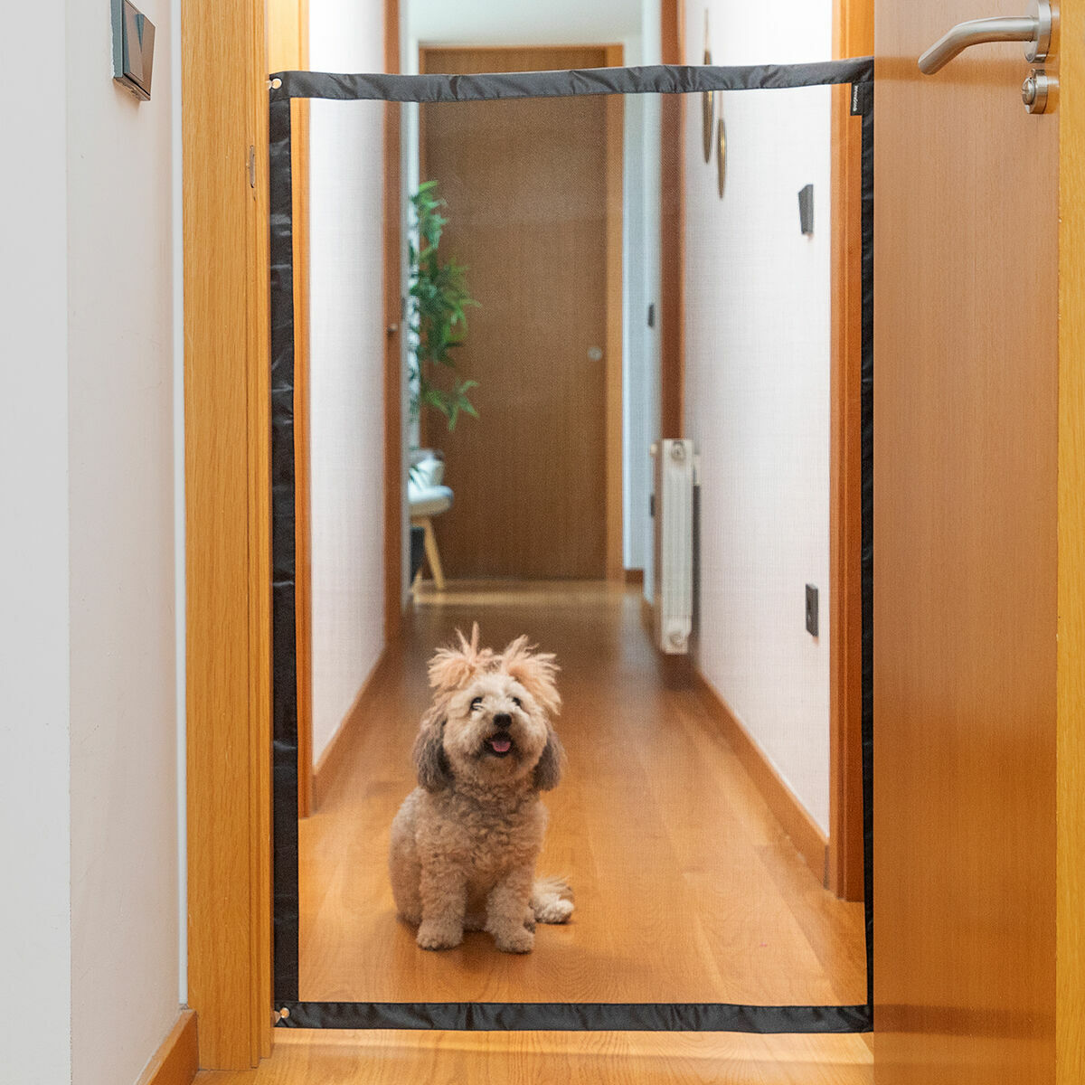 Veiligheidsnet voor huisdieren Petinu InnovaGoods-7