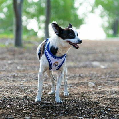 V4H4B54BCABC44ED2C692F94450EF983E0ER7186619P4