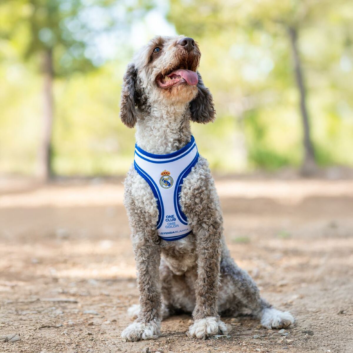 V4HB89E3B49CA9F025B48DB24DF458FECBFR7186626P9