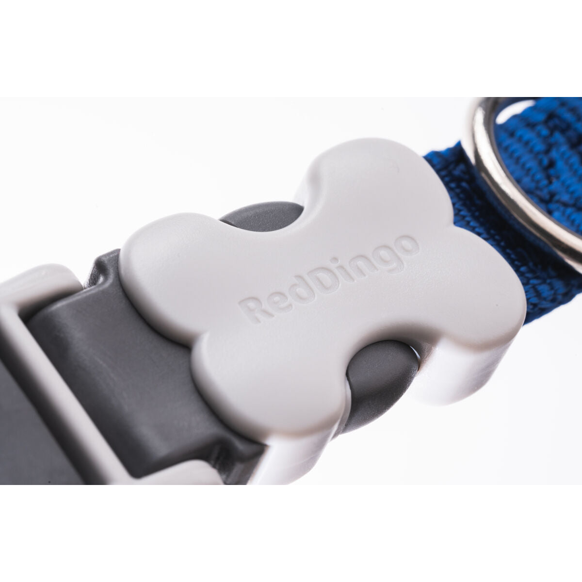 V8H0E77AD12C3C6A77C84C4CD073E9C9898R3627688P6