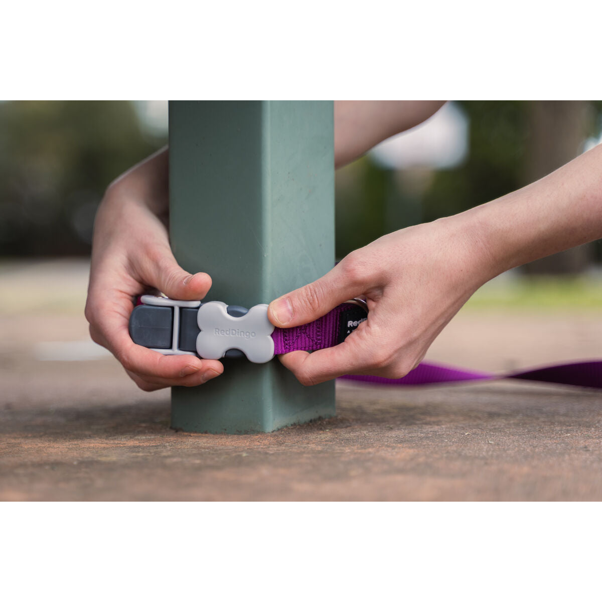 V8H919ADC38DA00B9E00D614BA61239DAC7R3627672P2