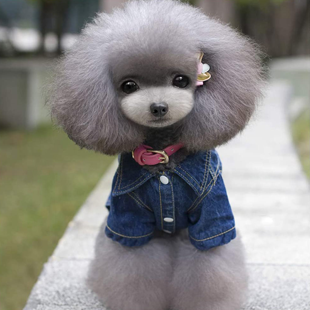 Veste pour chien en denim acide par Doggy Doo Little