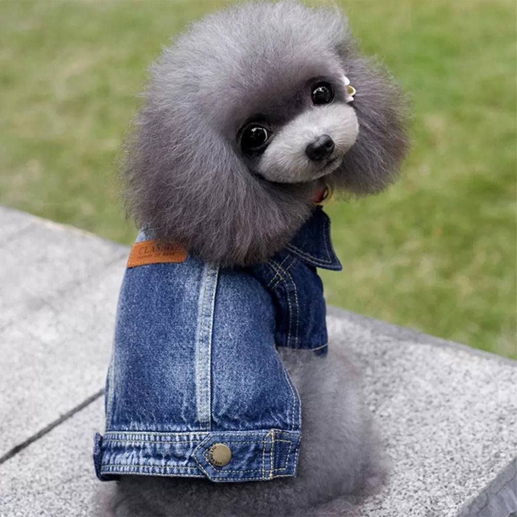 Veste pour chien en denim acide par Doggy Doo Little