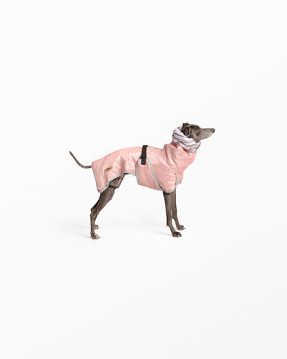 Water-Repellent Dog Raincoat with Adjustable Snood - Pink Medium