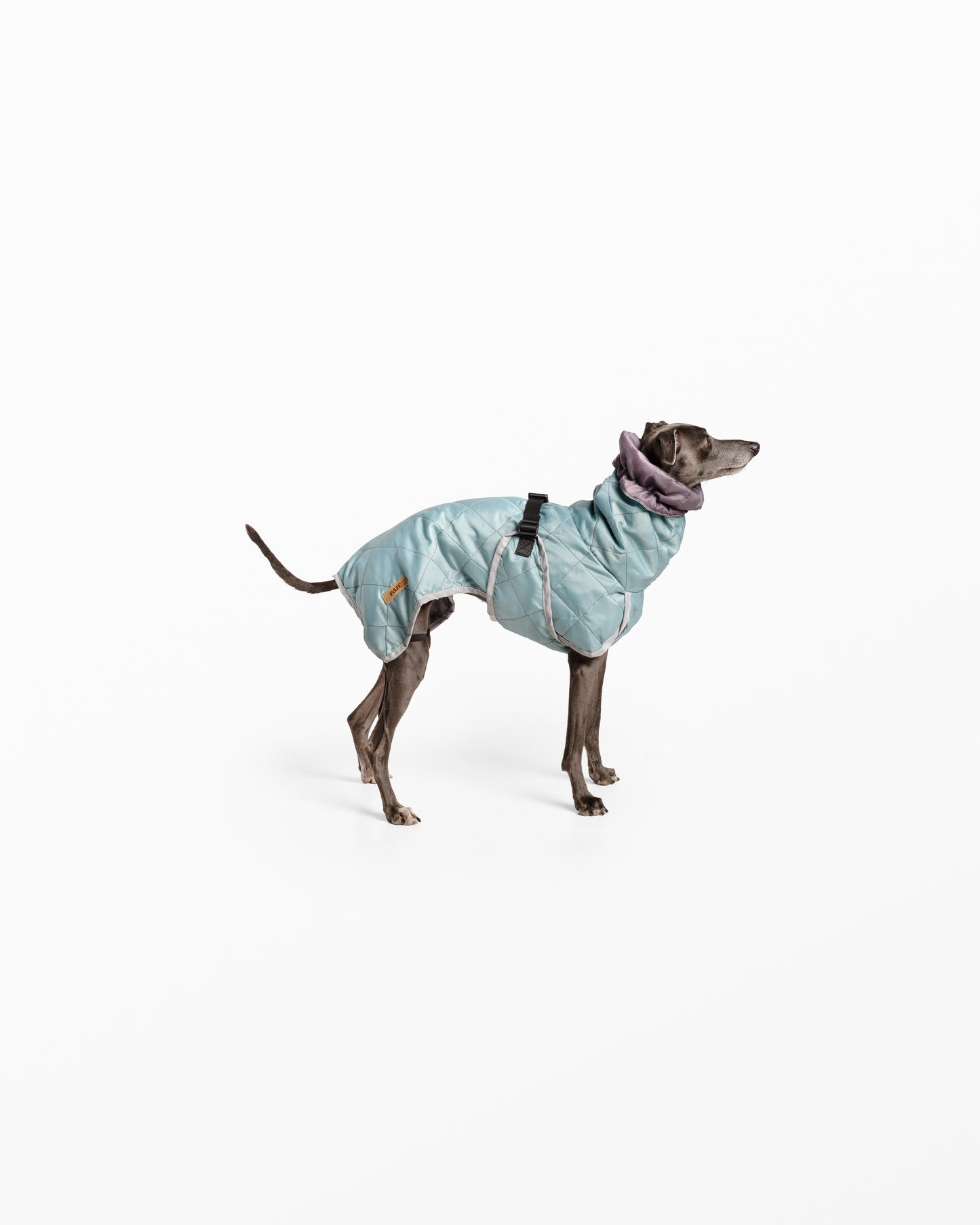 Dog Coat with Integrated Snood – Warm & Comfortable for Cold, Damp Days - Blue Turquoise Small