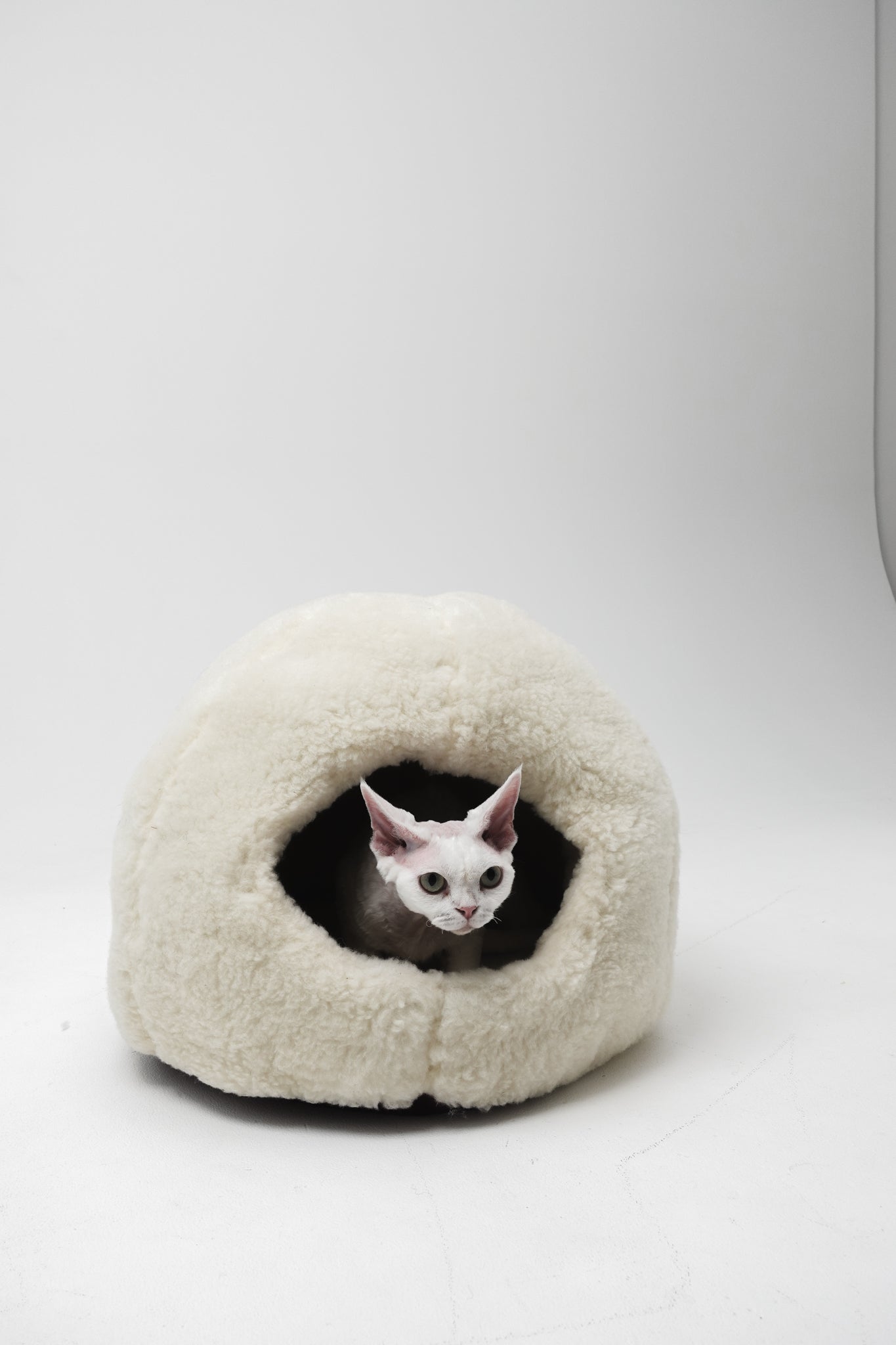 Lit pour animaux de compagnie en laine naturelle Nest - Blanc