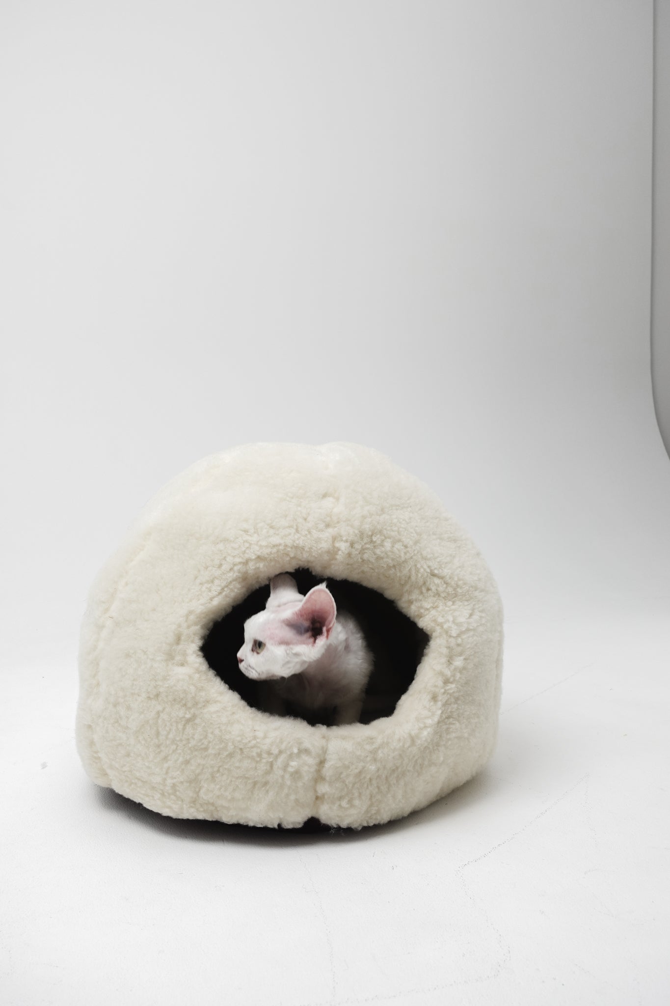 Lit pour animaux de compagnie en laine naturelle Nest - Blanc
