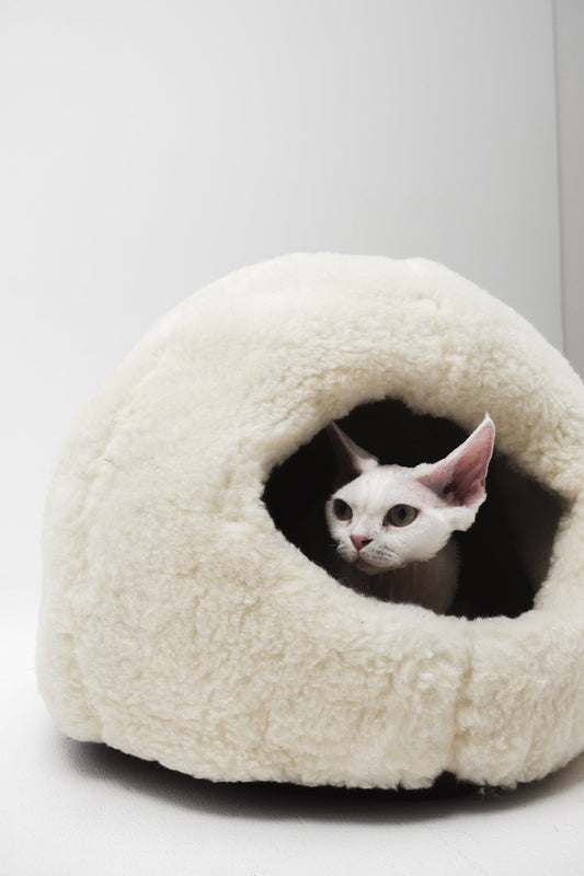 Lit pour animaux de compagnie en laine naturelle Nest - Blanc
