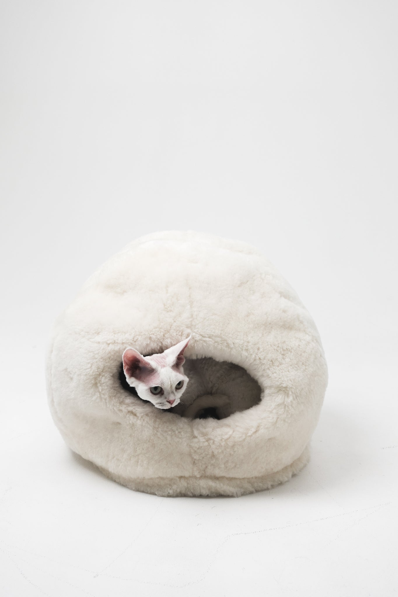 Lit pour animaux de compagnie en peau de mouton naturelle Nest - Blanc