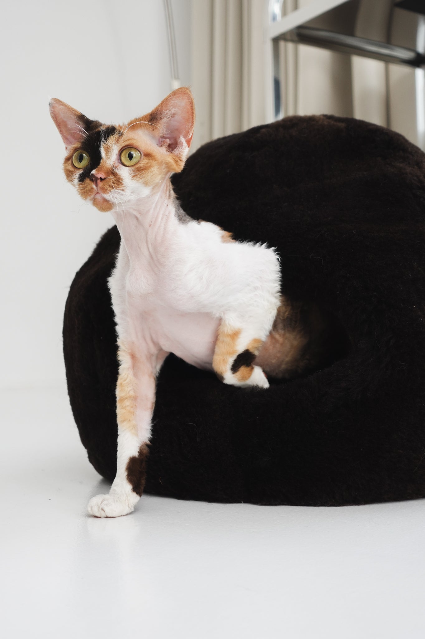 Lit pour animaux de compagnie en peau de mouton naturelle Nest - Brun