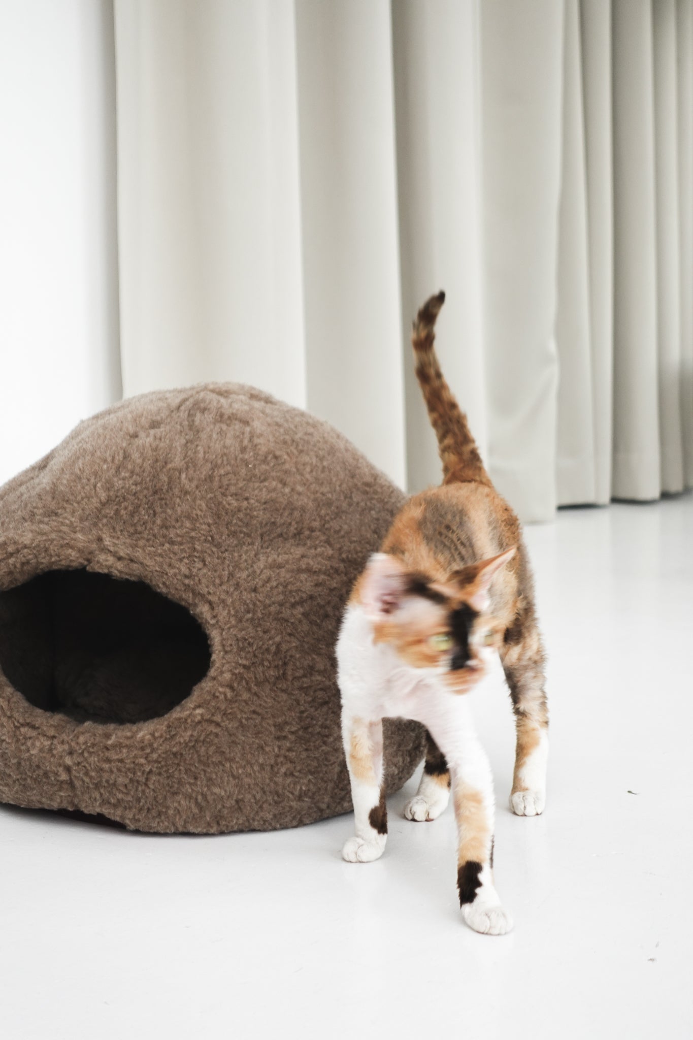 Lit pour animaux de compagnie en peau de mouton naturelle Nest - Beige