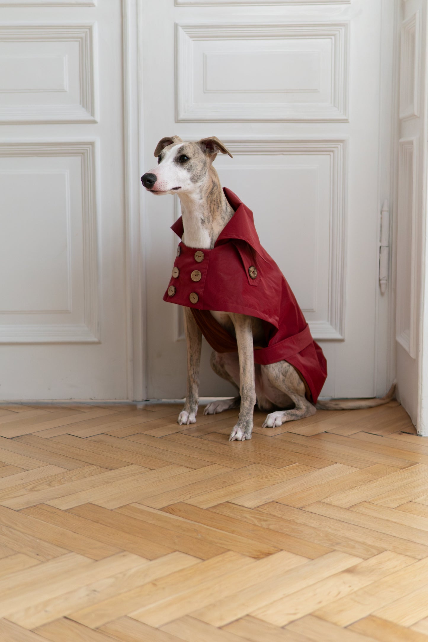 Trench-coat déperlant pour chien - Rouge bordeaux