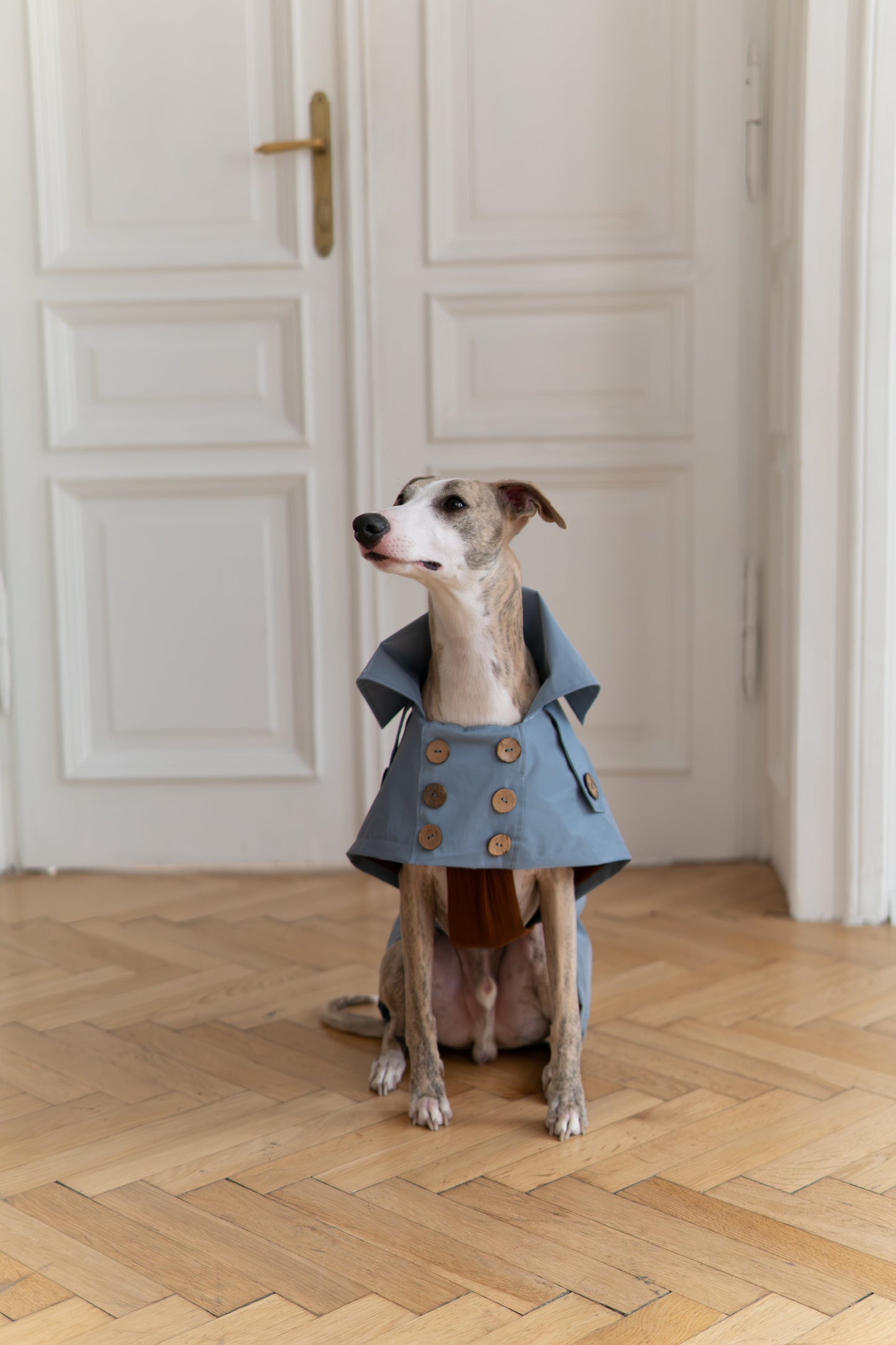 Waterafstotende Dog Trench Coat - Lichtblauw