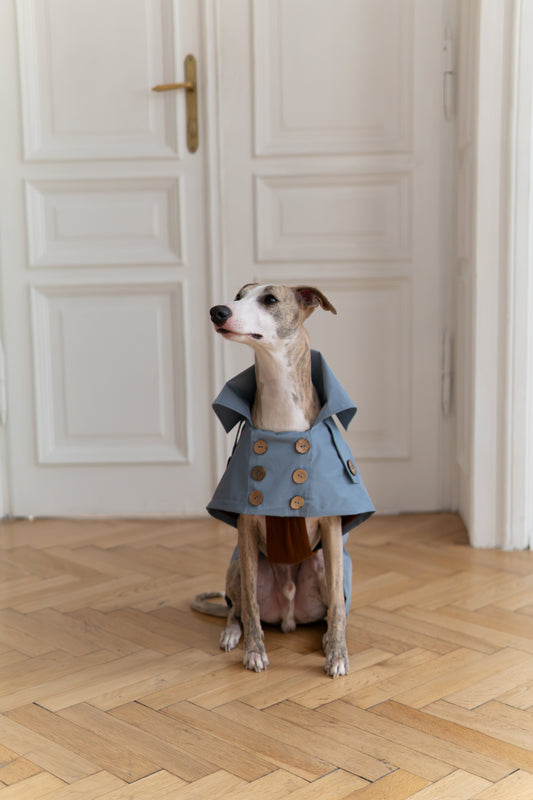 Trench-coat déperlant pour chien - Bleu clair