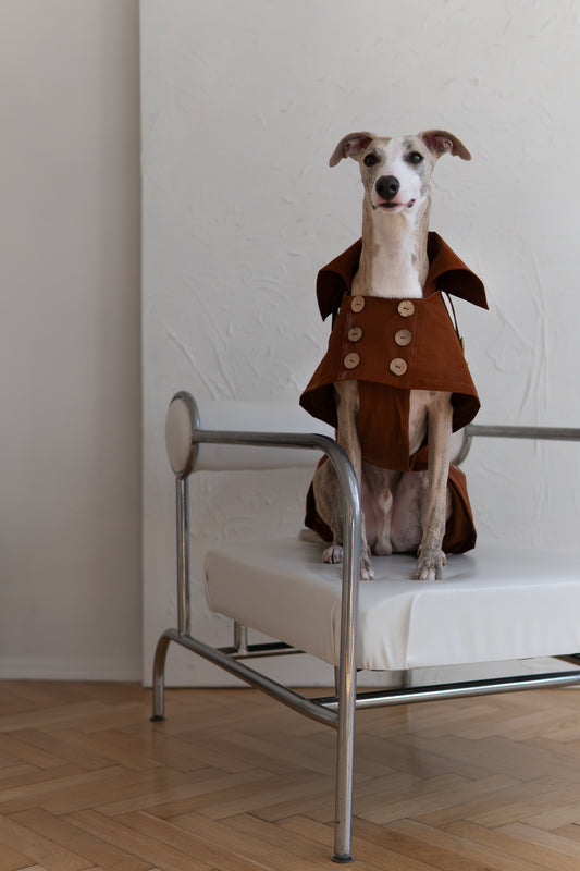 Trench-coat déperlant pour chien - Chocolate Brown