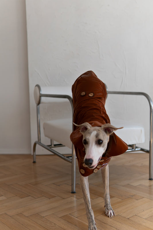 Trench-coat déperlant pour chien - Chocolate Brown