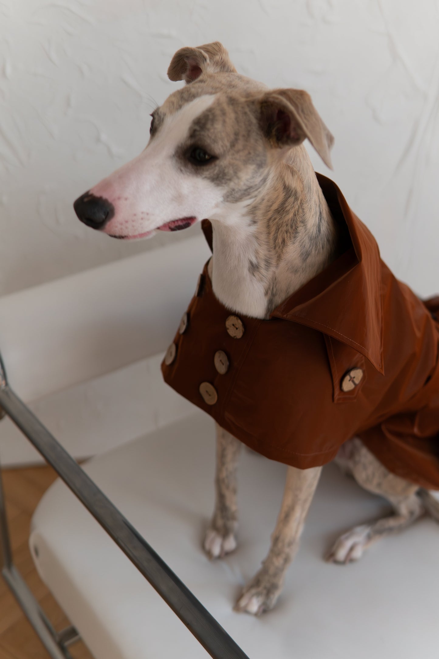 Waterafstotende Dog Trench Coat - Chocoladebruin