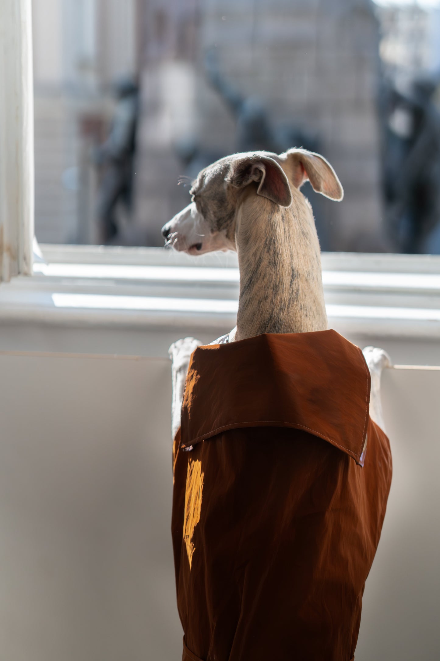 Waterafstotende Dog Trench Coat - Chocoladebruin