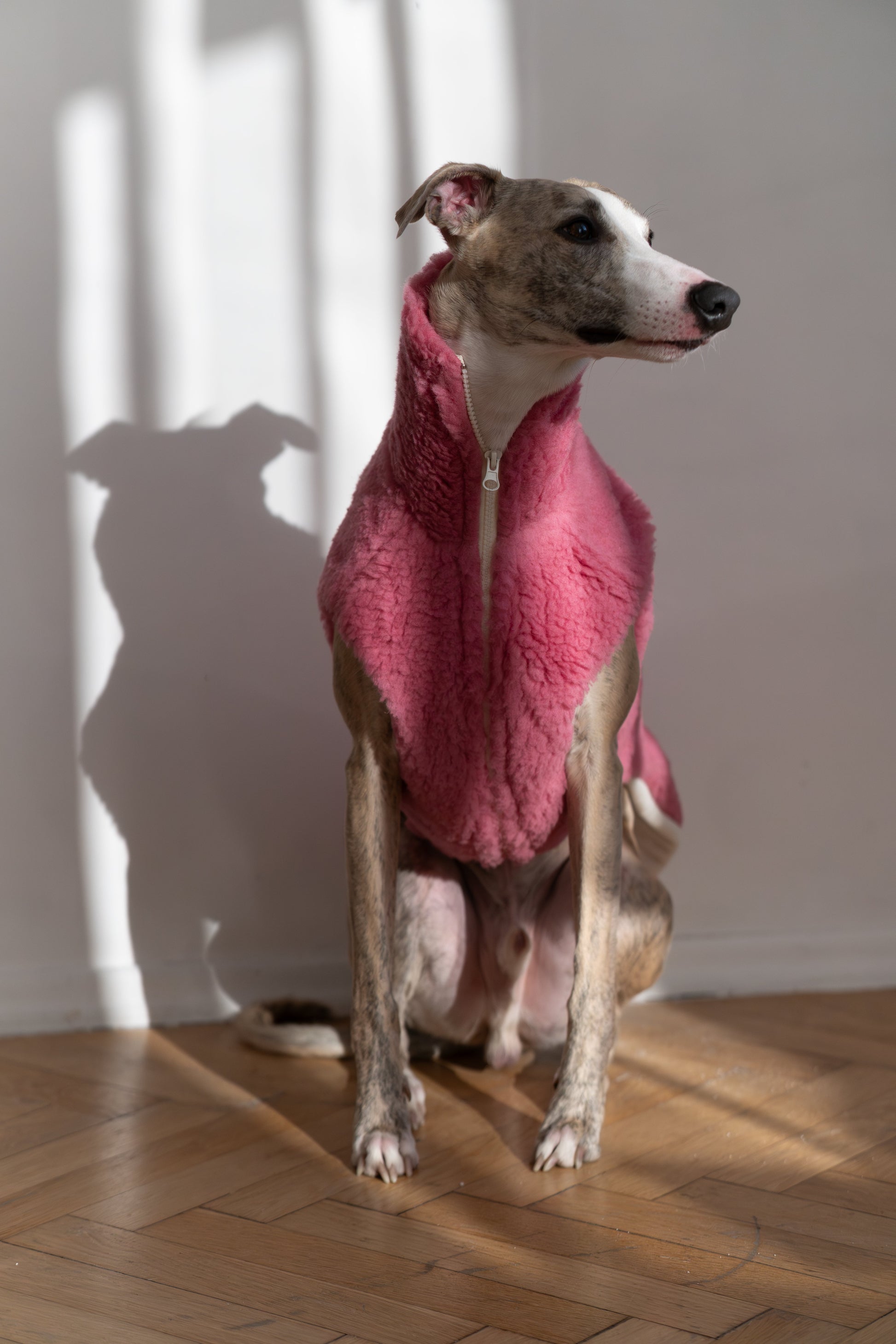 Gilet pour chien en laine - Rose-0