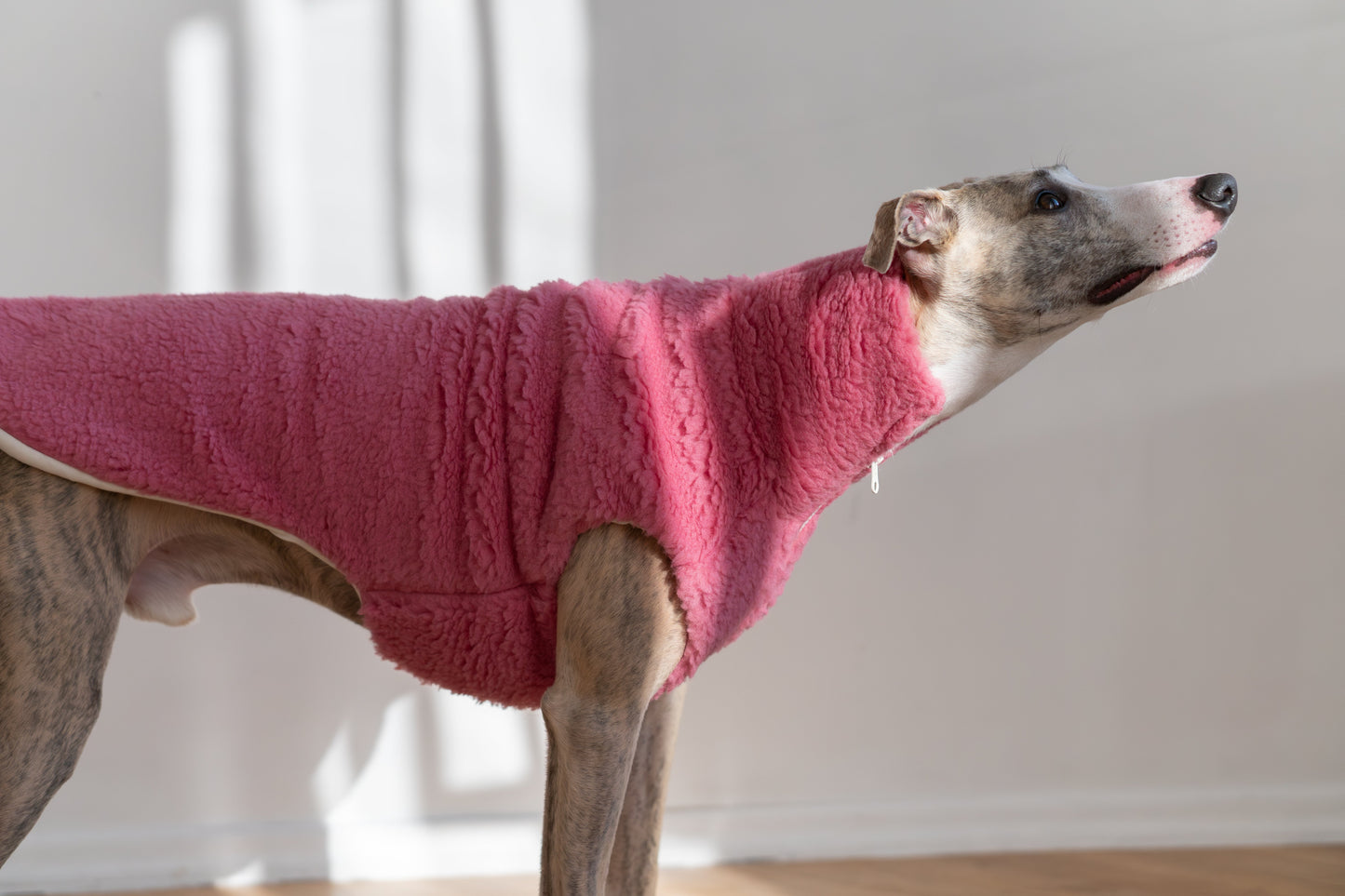 Gilet pour chien en laine - Rose-1