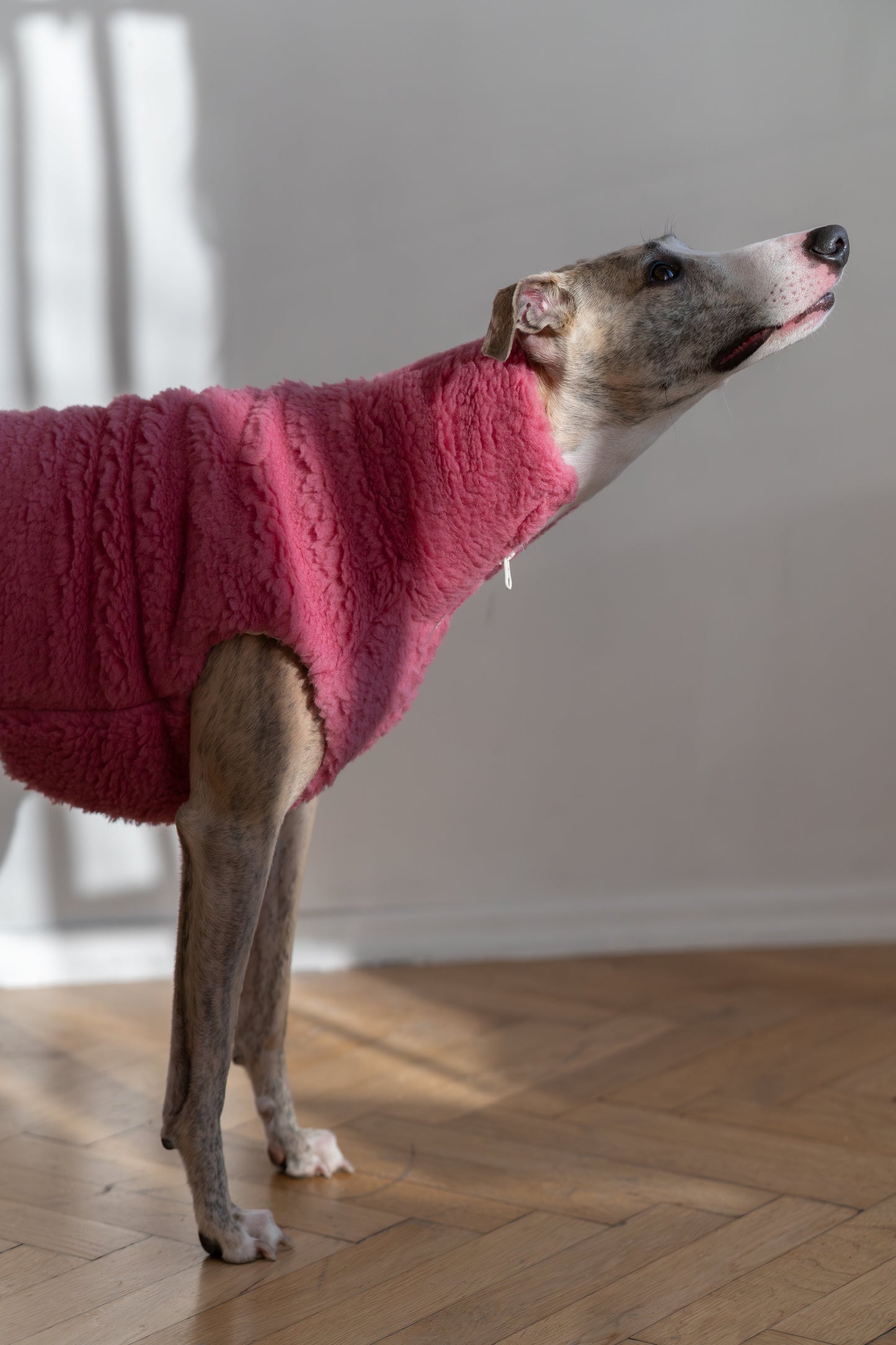Gilet pour chien en laine - Rose-2