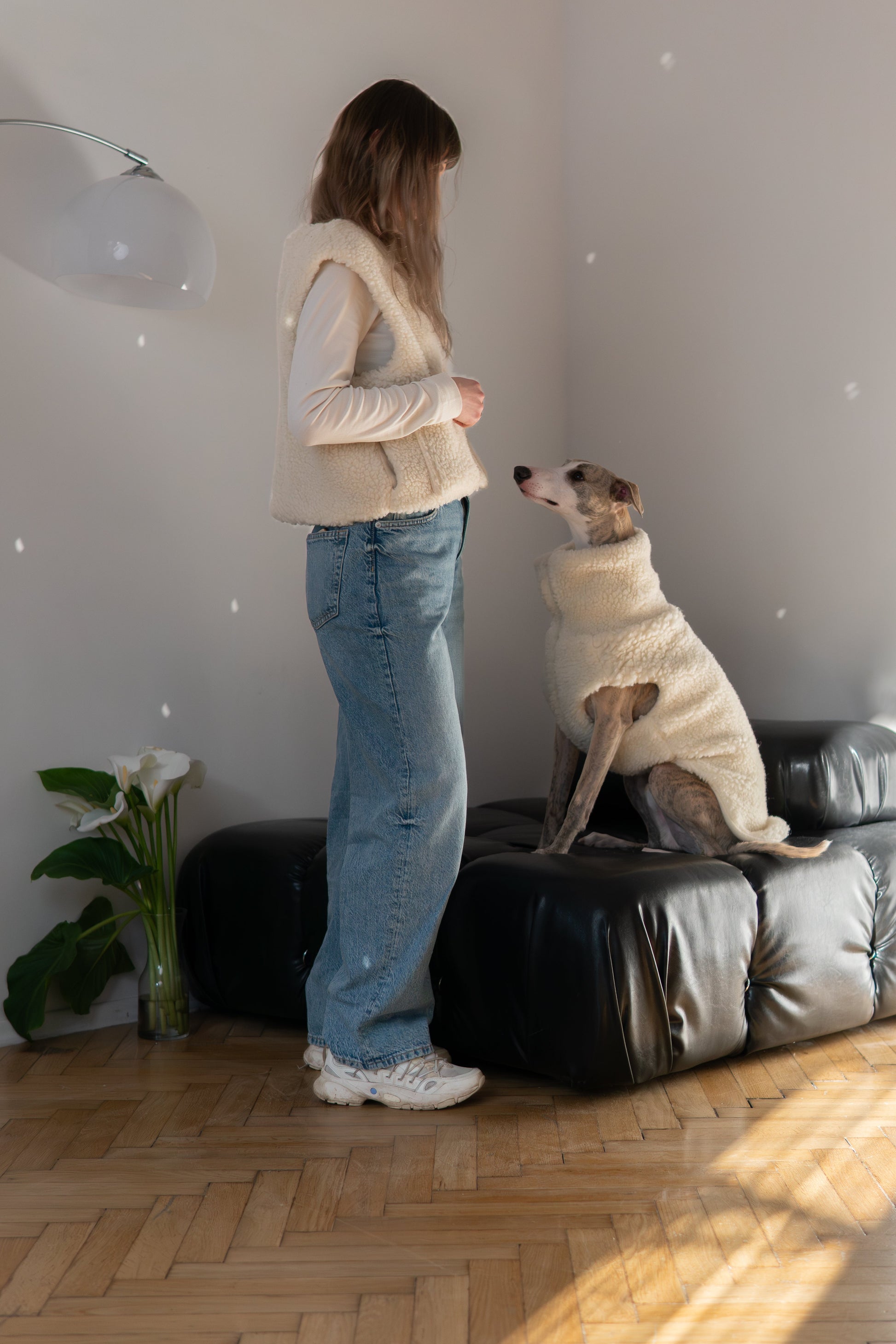 Gilet pour chien en laine - Blanc-4