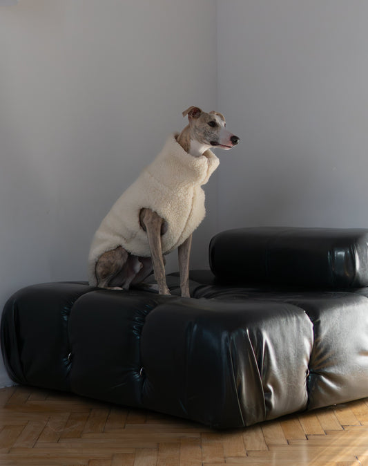 Gilet pour chien en laine - Blanc-1