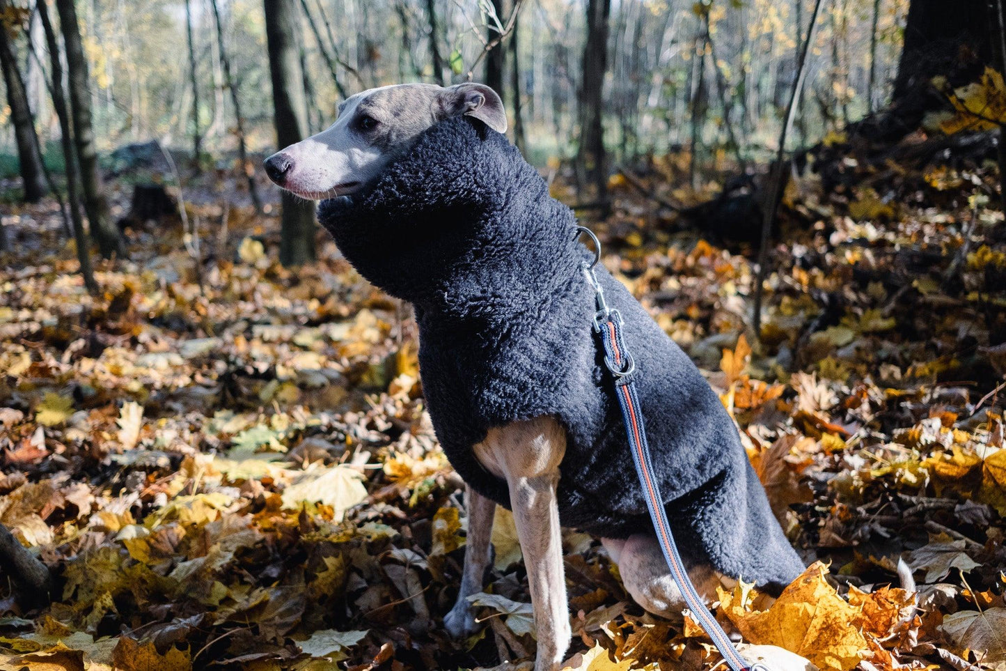 Gilet en laine pour chien - Anthracite-3
