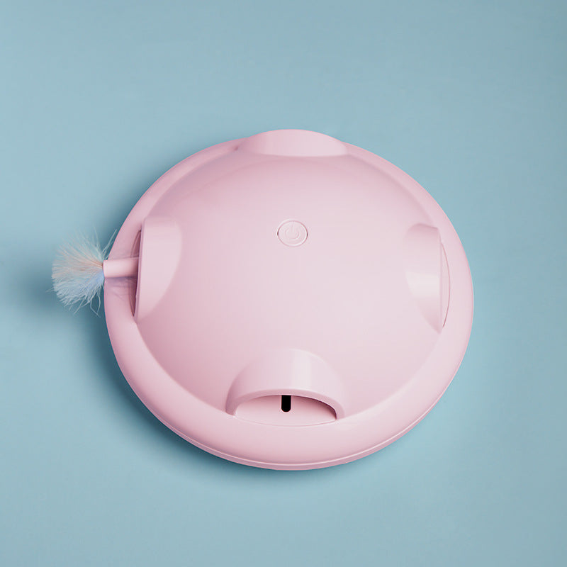 Chat électrique Playmate-1