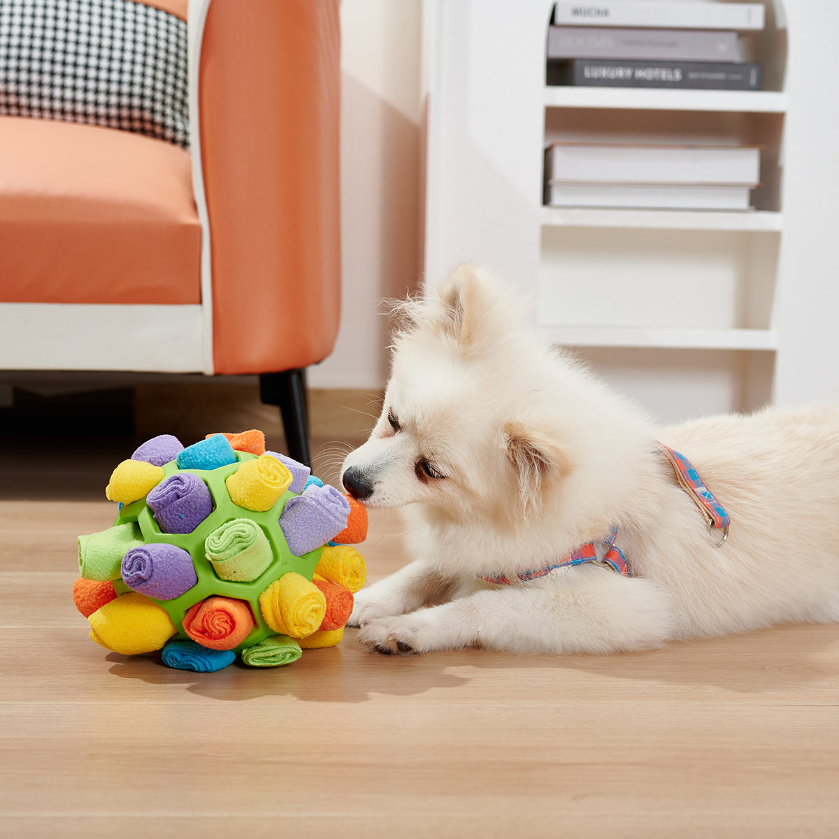 Chien renifleur interactif boule puzzle Toy-0
