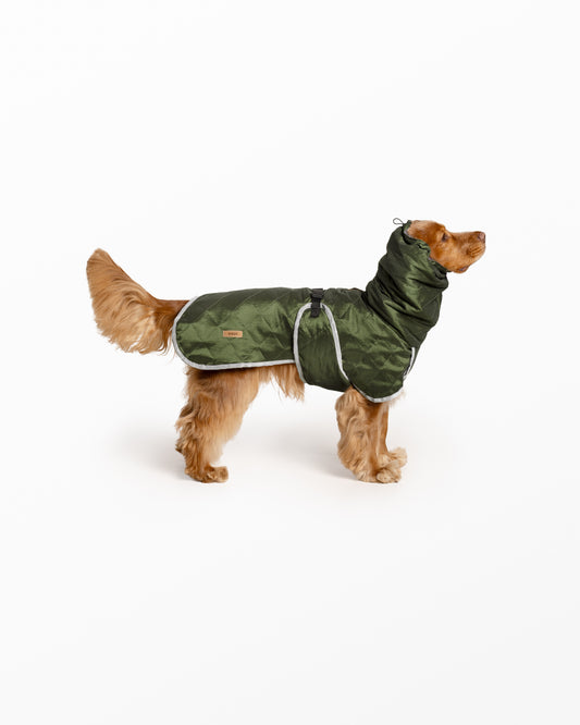 Water-Repellent Dog Raincoat with Adjustable Snood - Green Large
