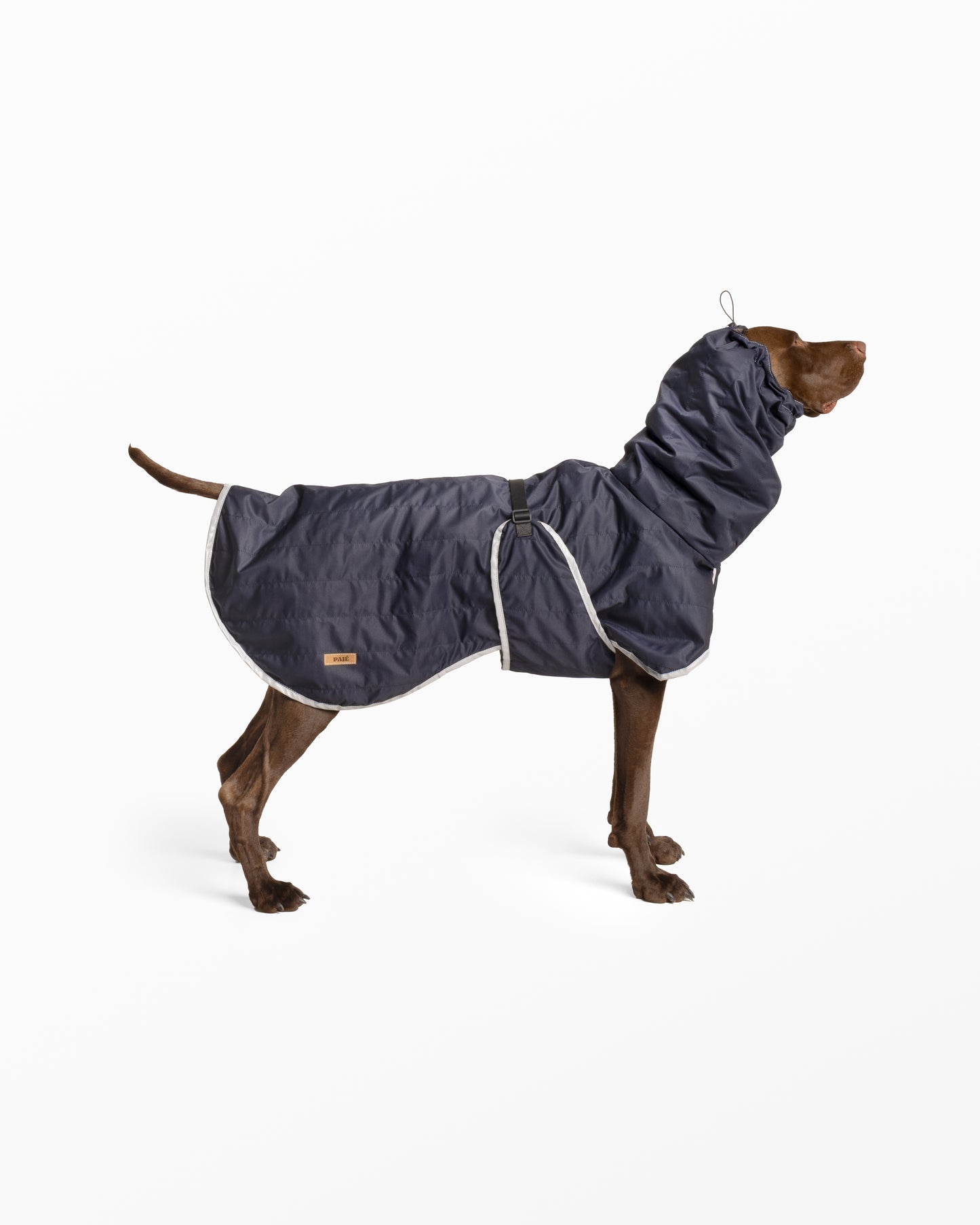 Water-Repellent Dog Raincoat with Adjustable Snood - Navy Small