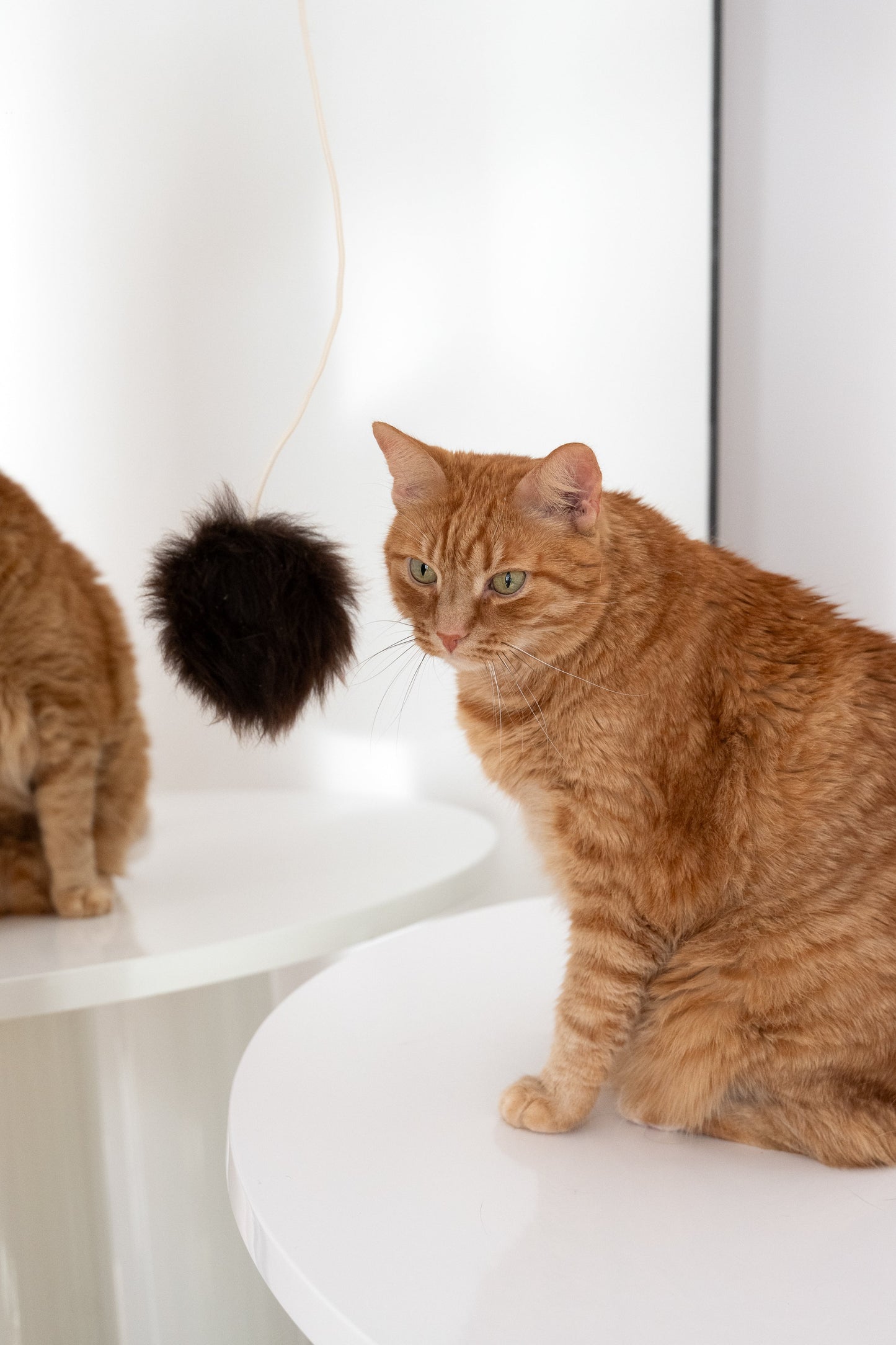 Natuurlijk kattenspeelgoed van schapenvacht: Ball