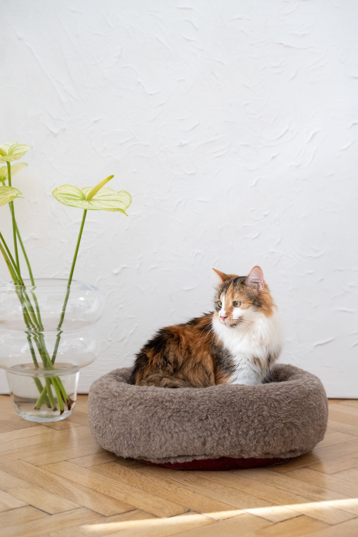 Lit rond pour animaux de compagnie en laine naturelle - Beige
