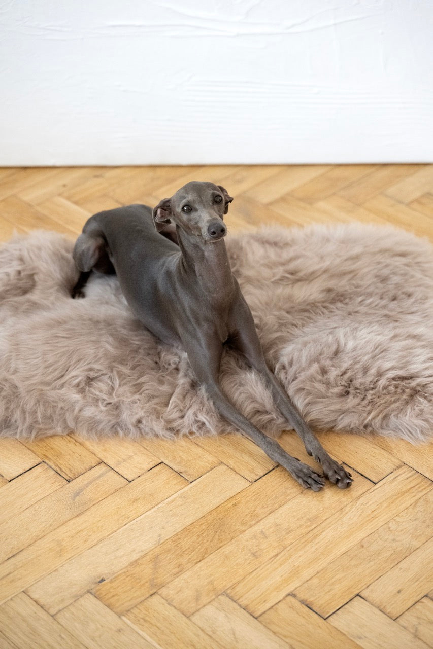 Tapis carré ou rectangulaire en peau de mouton naturelle pour animaux de compagnie - Greige-0