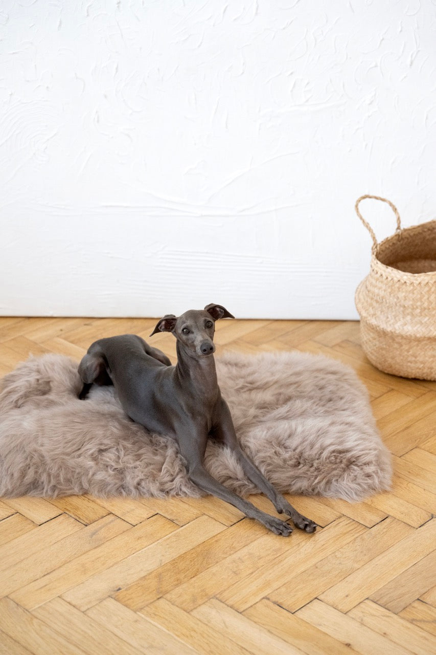 Tapis carré ou rectangulaire en peau de mouton naturelle pour animaux de compagnie - Grège-3