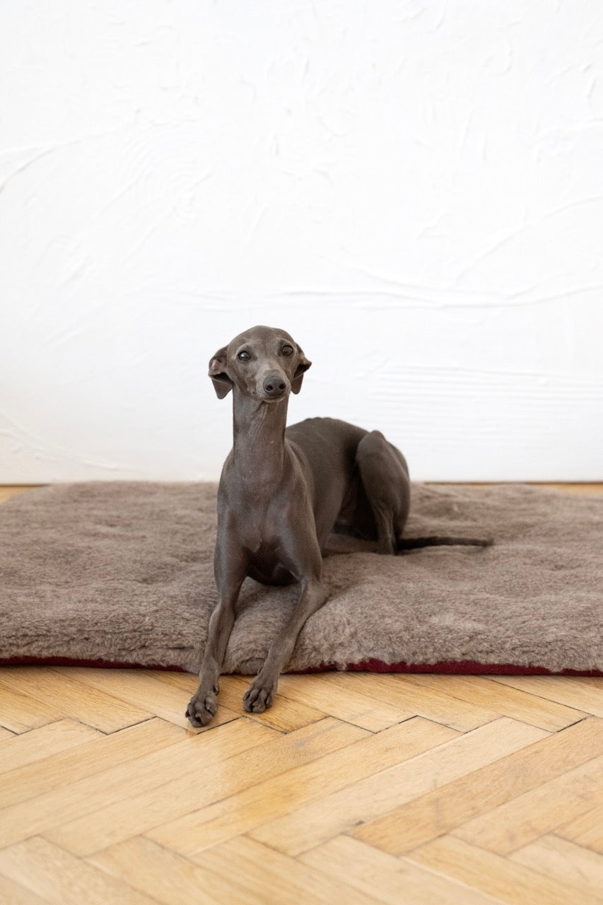 Tapis carré ou rectangulaire en laine naturelle pour animaux de compagnie - Beige