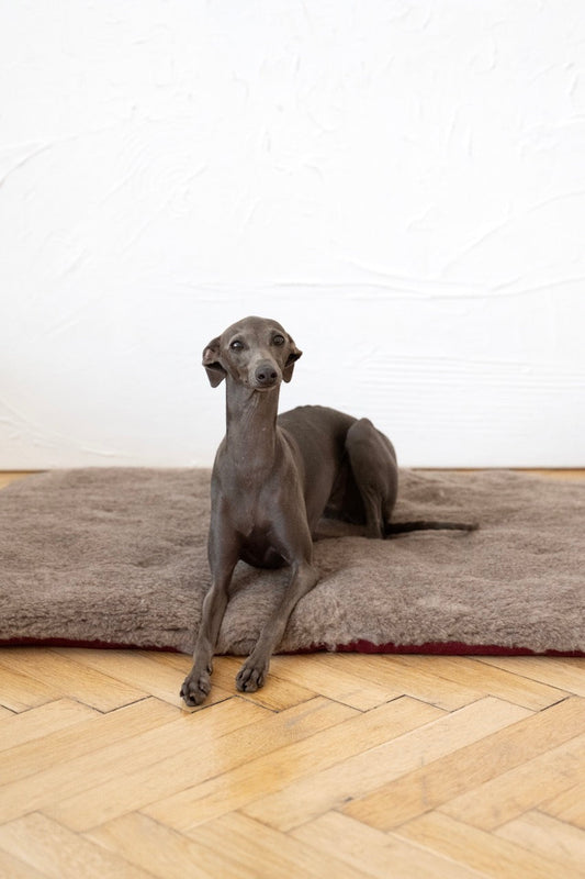 Tapis carré ou rectangulaire en laine naturelle pour animaux de compagnie - Beige