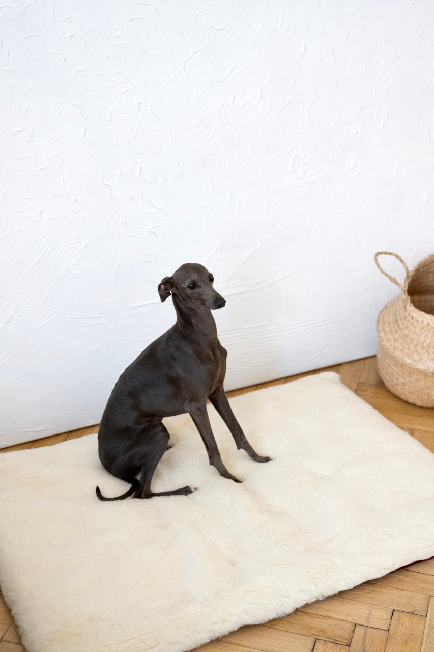 Tapis carré ou rectangulaire en laine naturelle pour animaux de compagnie - Blanc-1