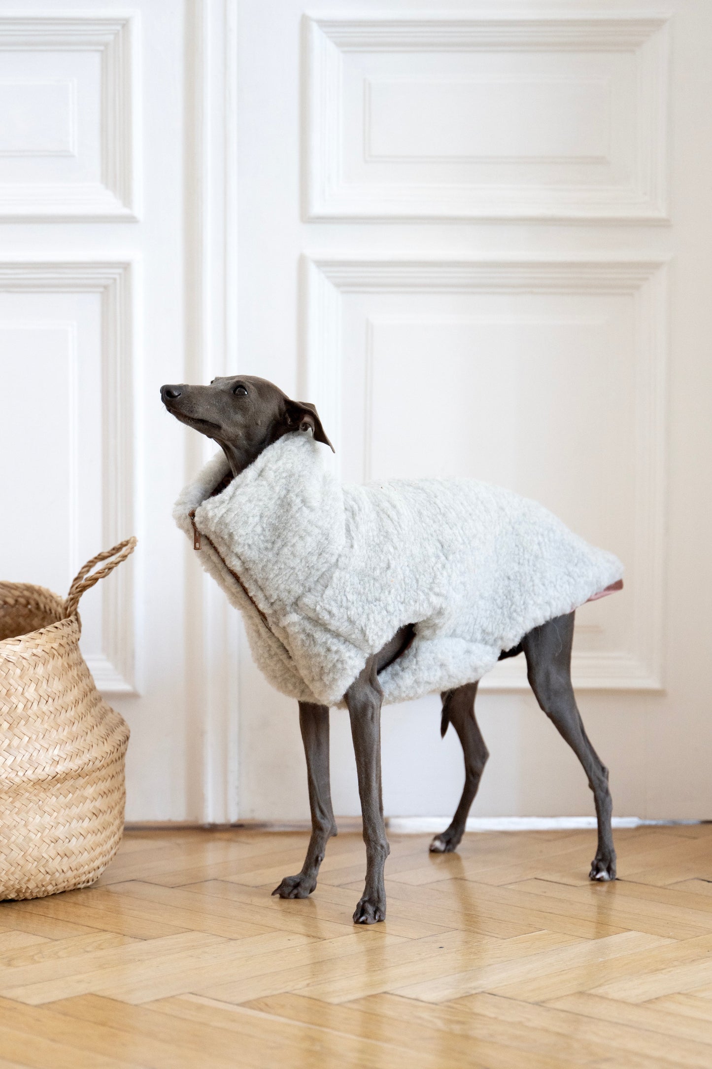 Gilet pour chien en laine - Gris clair-2