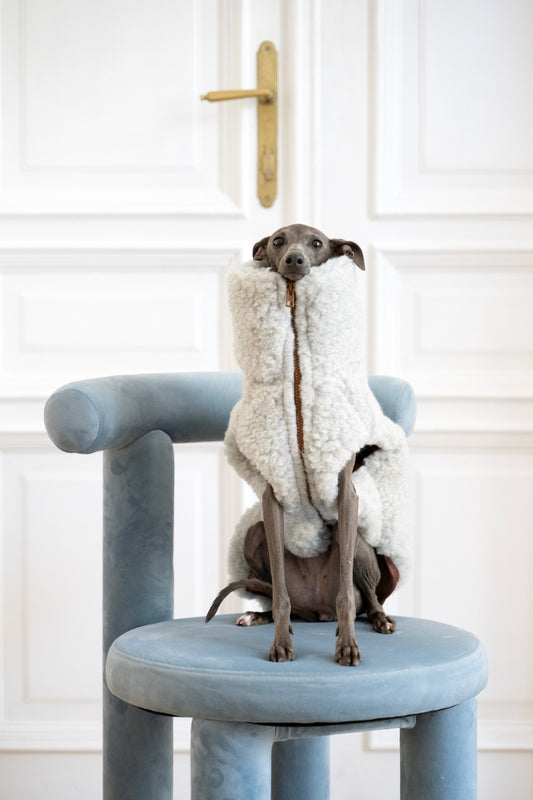 Gilet pour chien en laine - Gris clair-0